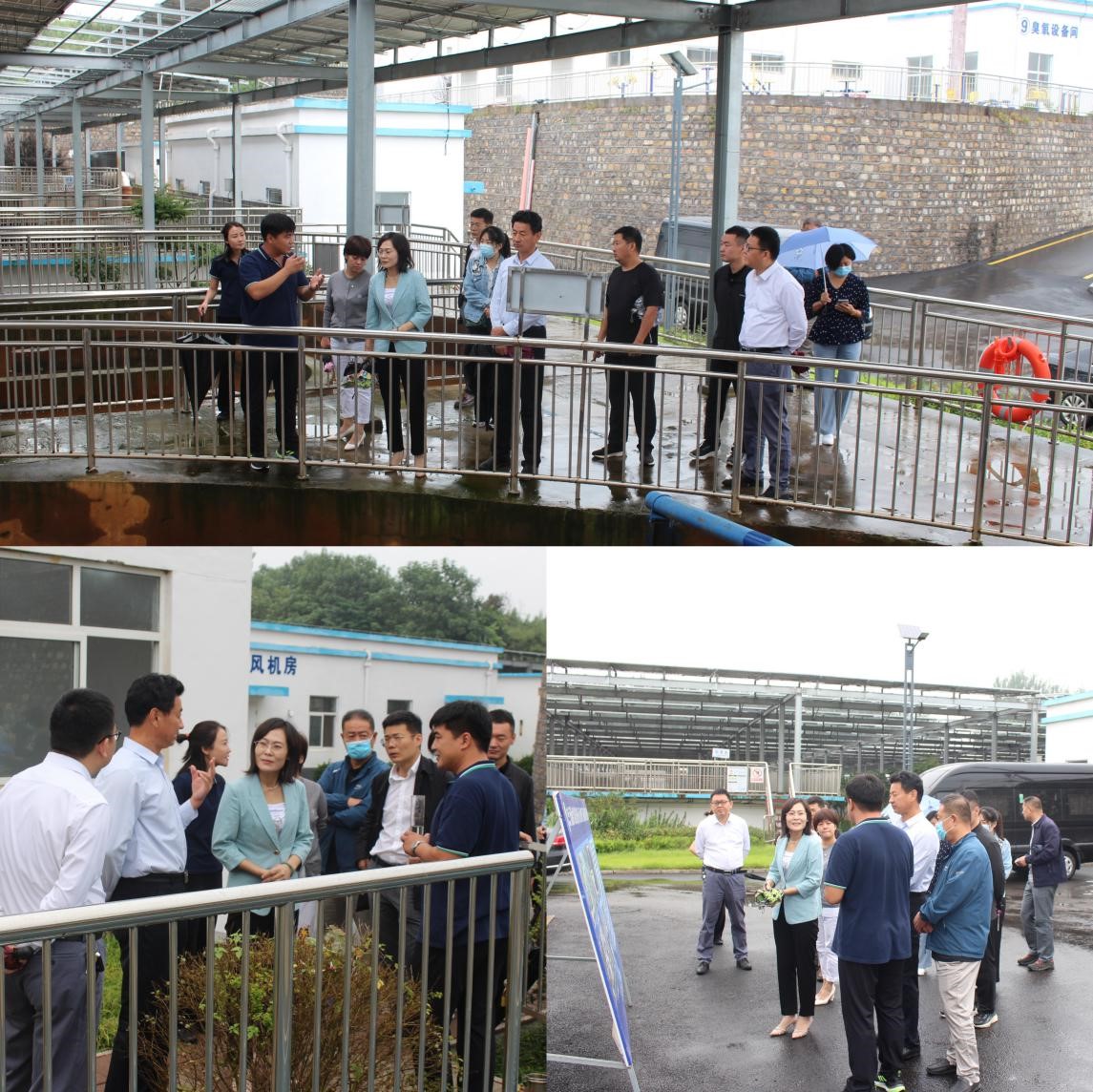 1662338898443142.jpg 1.jpg